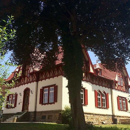 Gaestehaus "Unsere Stadtvilla" Хехинген Екстериор снимка